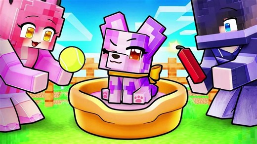 【Aphmau】在Minecraft中收养PUPPY APHMAU！