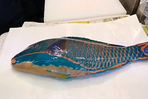 fish sashimi 😋 #bbq #seafood #food #japanesefood #tiktokfood #sushi #sashimi #delicious #tasty #tuna #salmon #caviar #wagyu #usa #fyp #fishing