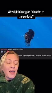 2.2M views · 28K reactions | Why did this angler fish swim to the surface? #explore #fish | Kela Holifield | Facebook