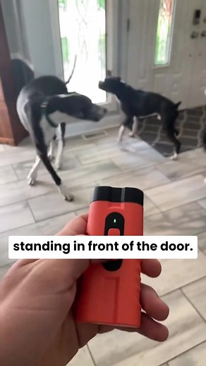 Train with love, not fear! Bring peace back to your home. 💖🐶✨ 🐾 Handheld Ultrasonic Dog Bark Control Device 🐾 Stops Loud Barking 🐾 Gentle Dog Training Get yours now before it's sold out! | Happy-Molly