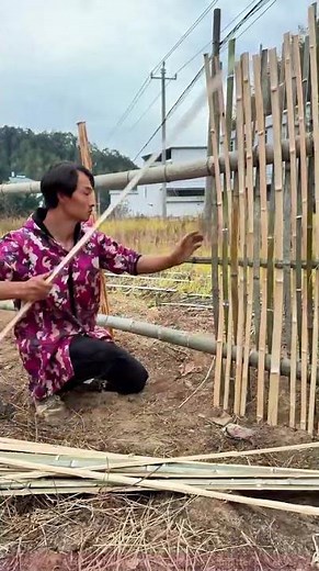 How to Build a Bamboo Fence: Practical and Cost-Effective Rural DIY