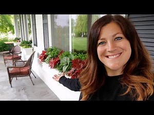 Tulip Clean Up & Window Box Planting! 🌿💚// Garden Answer