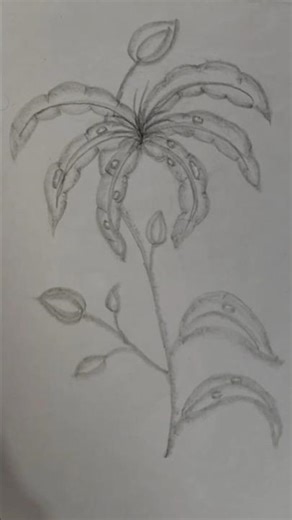 Charcoal Drawing| #drawing #pencildrawing #art #sketch #trending #shorts