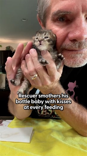955K views · 31K reactions | When he finally opens his little eyes 凉 Keep up with David Loop and Sierra Pacific Furbabies on Instagram: https://thedo.do/DavidLoop65 & https://thedo.do/sierrapacificfurbabies | The Dodo | Facebook