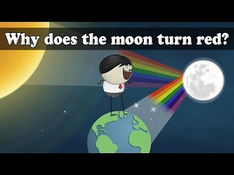 Lunar Eclipse - Why does the moon turn red? | #aumsum #kids #science #education #children