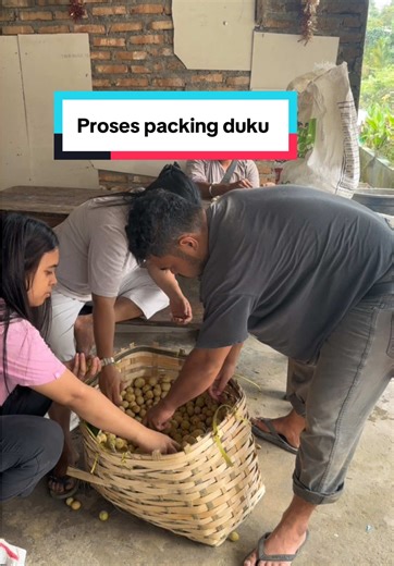 Proses Packing Duku: Tips dan Trik Memastikan Kualitas