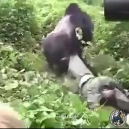 109K views · 6.6K reactions | NASA MEMES on Reels | Facebook