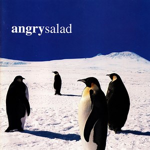 Angry Salad Concert & Tour History  | Concert Archives