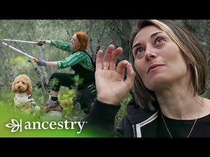 Immortality in Oil: Crete's Olive Trees | The Infinite Explorer with Hannah Fry | Ancestry
