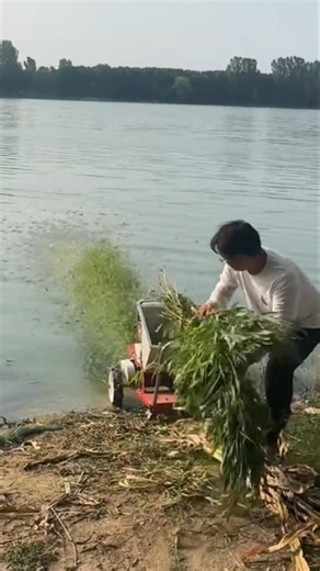 The Ultimate Tool for Perfectly Cutting Grass, Crops, and More!#fcnfm #youtube #youtubeshorts