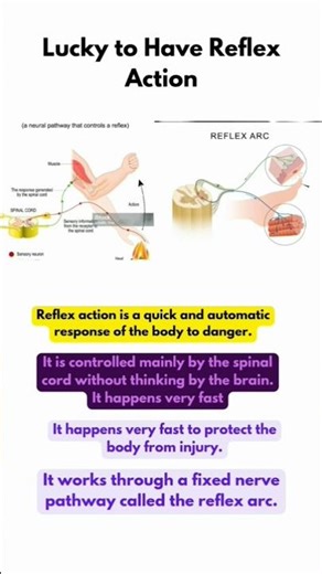 lucky to have reflex action