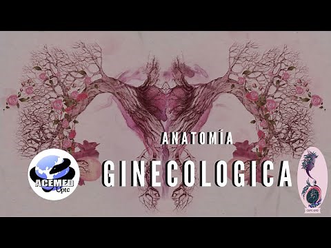 ANATOMÍA GINECOLÓGICA -ACEMED UPTC