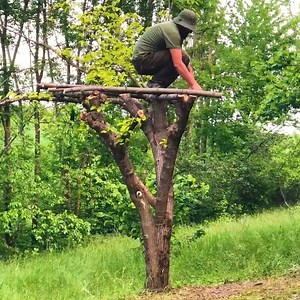 18K views · 308 reactions | How to Build House on the Tree Method Grass Roof.#survival #adventure #wilderness #camping #bushcraftcamping​ #logcabin #cabin | Mountain Cabins | Facebook