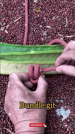How to make bundle git #shorts #git #knot #diy #bundle ‪@DoiT_03‬