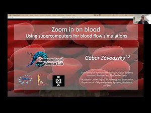 Zoom in on blood - Using supercomputers for blood flow simulations