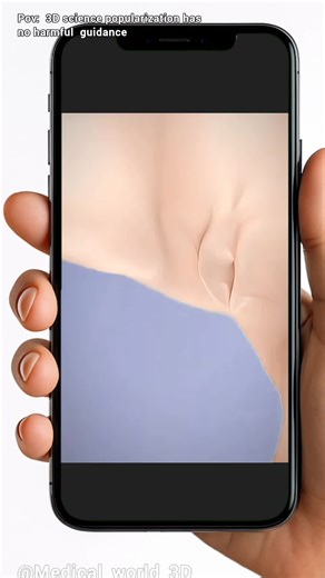 FormaV (InMode) Procedure – (Radiofrequency Birthcanal rejuvenation) Medical Animation 3D #formav #formainmode #vaginalwellness #pelvichealth #intimatehealth