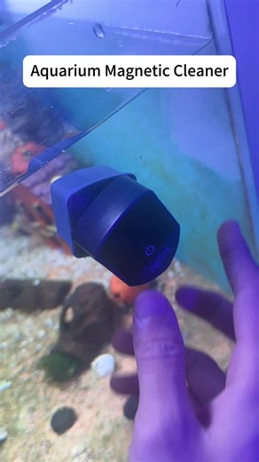 No More Scrubbing! Magnetic Fish Tank Cleaning Floating   Temp Read Works Wonders.#blacktiktok #plantedtank #aquascape #fish @TikTok
