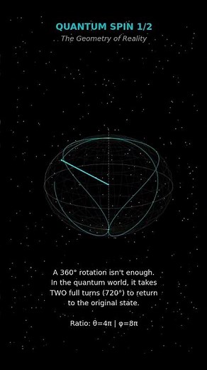 ⚛️What Could Electron Spin 1/2 Look Like? #physics #quantumphysics #spin #science #scienceanimation