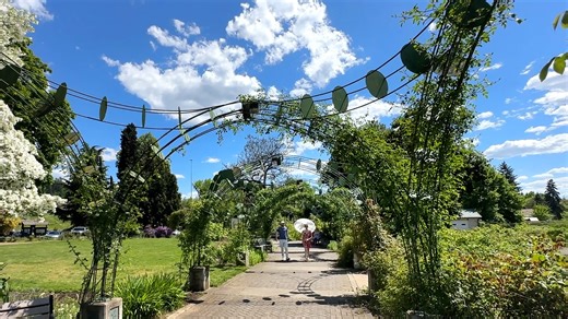 9 free things to do to keep kids occupied over spring break