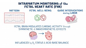 Video: Intrapartum fetal heart rate monitoring: Clinical sciences - Video Explanation! | Osmosis | Osmosis