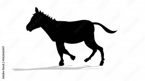 Donkey running animation video