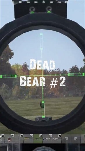 How DayZ Turned into a Bear Nightmare! #dayz, #shorts