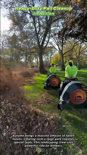 Heavy Duty Fall Cleanup in Action