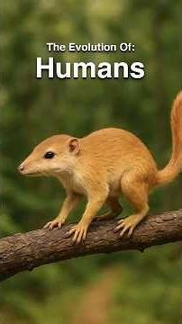 evolution of humans #humanevolution #historyfacts #historicalevents #evolution