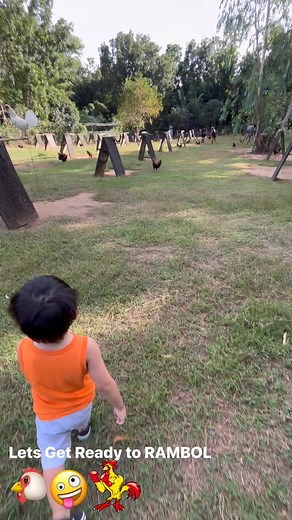 1.2K views · 15 reactions | Lets go CHICKEN!!! Visiting my UNCLE’ Farm #cockfighter #roasterlife #chickenfarming Little Boss King | Little Boss King | Facebook