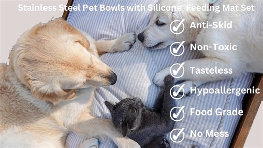 Watch Penguin Home Pet Silicon Feeding Mat & Stainless Steel Bowls on Amazon Live