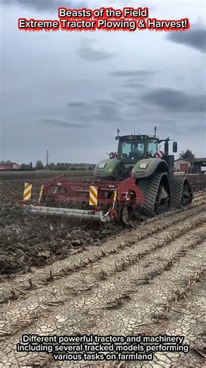 Beasts of the Field | Extreme Tractor Plowing & Harvest!