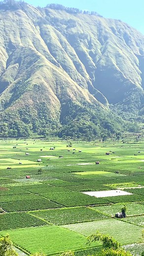 Bukit Selong Sembalun in Lombok