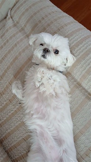 사람처럼누워있는열매 ㅎ뽀동이