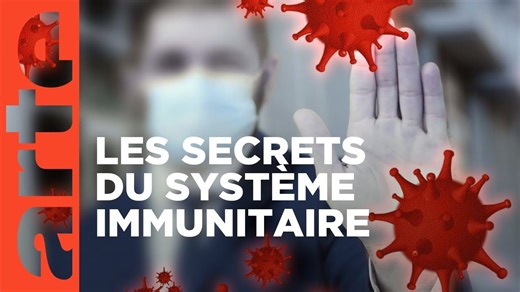 Documentaire | Le système immunitaire, un puissant gardien