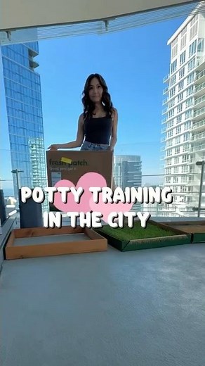Puppy potty training in a high-rise apartment! #puppy #australianshepherd #australianshepherd