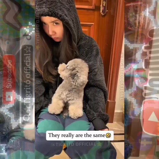 Ahuevo Que si No 👸 🆚️. 🐶 😆 🤣 😹 🤣 🤣 😆 🤣 😆 😂 😹 😹 🤣 😆 🤣 😆 🤣 😹 ⭐️ ⭐️ 🏅 ⭐️ ⭐️ ☆video☆ ☆ 🎬 ☆ ☆ comedia ☆ ☆ 🎭 ☆ ☆ viral ☆ ☆ parati ☆