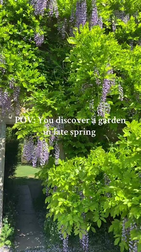 Discovering the Beauty of Late Spring Gardens