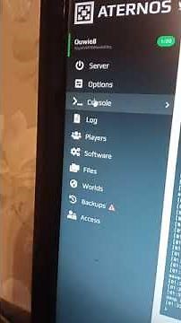 how to turn on cheats on aternos
