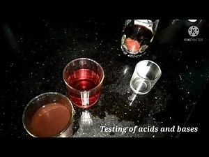 How to prepare beetroot indicator and testing with acids and bases