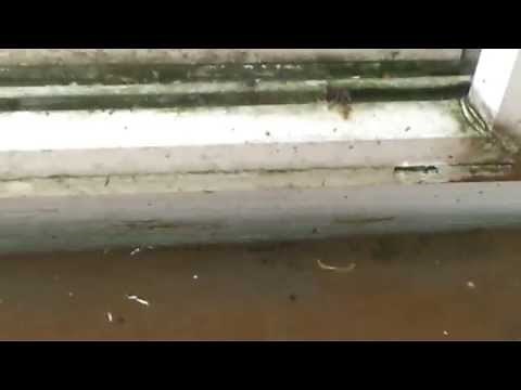 fix for water in patio door track