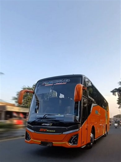 Descubre la locura de los autobuses virales