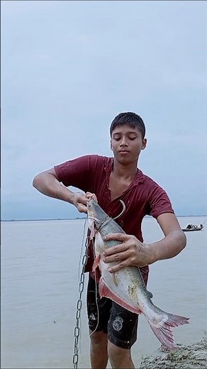 Catching Fish Using a 500 KG Giant Bait in the River#GiantBaitFishing #RiverFishing #BigCatch