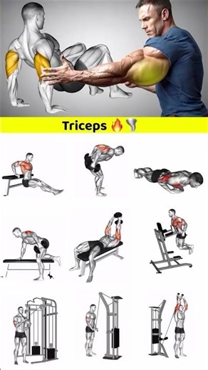 Build Huge Triceps FAST | Monster Arm Day 💥