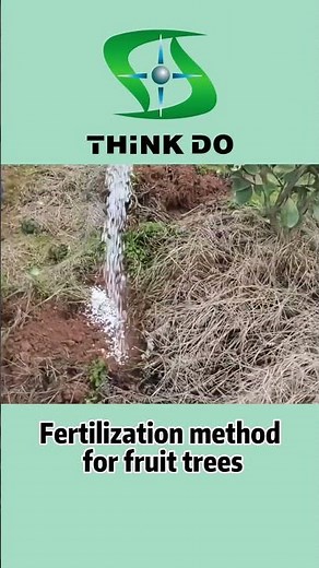 Video on how to fertilize fruit trees