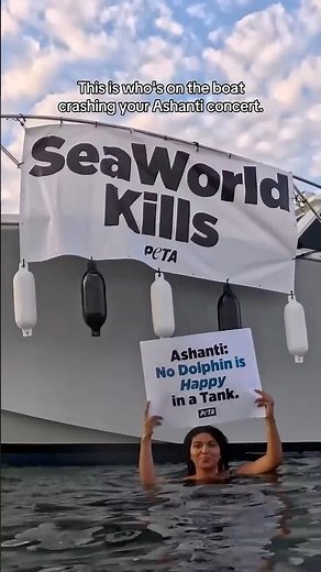 We Had a Message for Ashanti's SeaWorld Fans 🐬🚤
