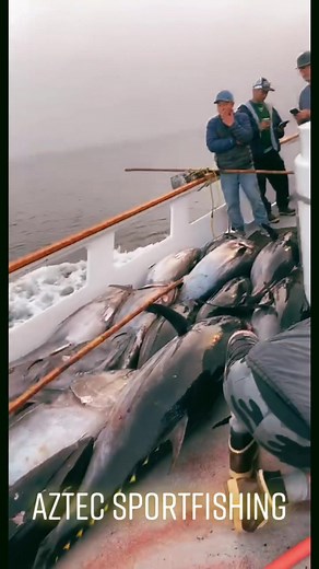 aztecsportfishing on TikTok