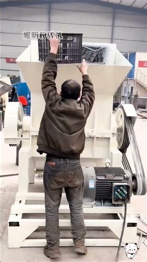 Revolutionizing Waste: How Supermarket Fruits Turn into Gold