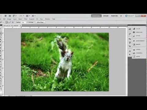 How to Blur Background in Photoshop CS5