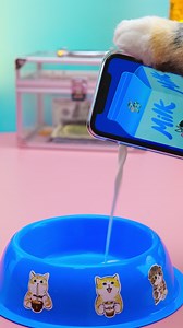 Testing magic tricks and science experiments! Meow-magic 🪄 | Meow-some