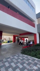 Physics free fall project